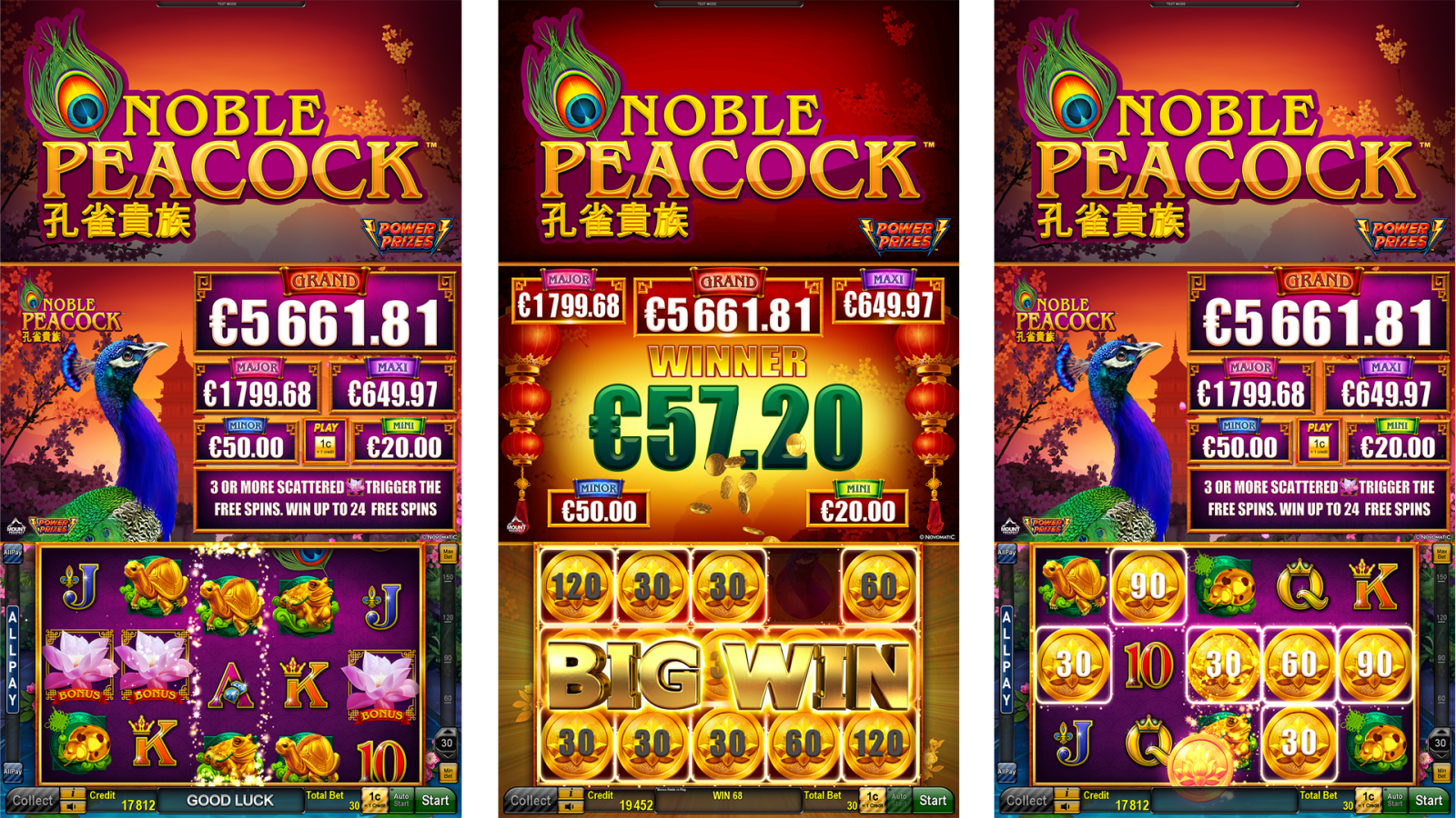 NoblePeakcock_CurvedCollage