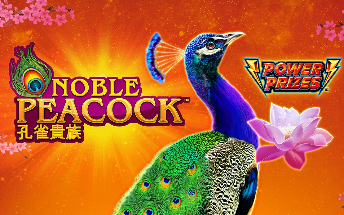 NoblePeacock_Ov