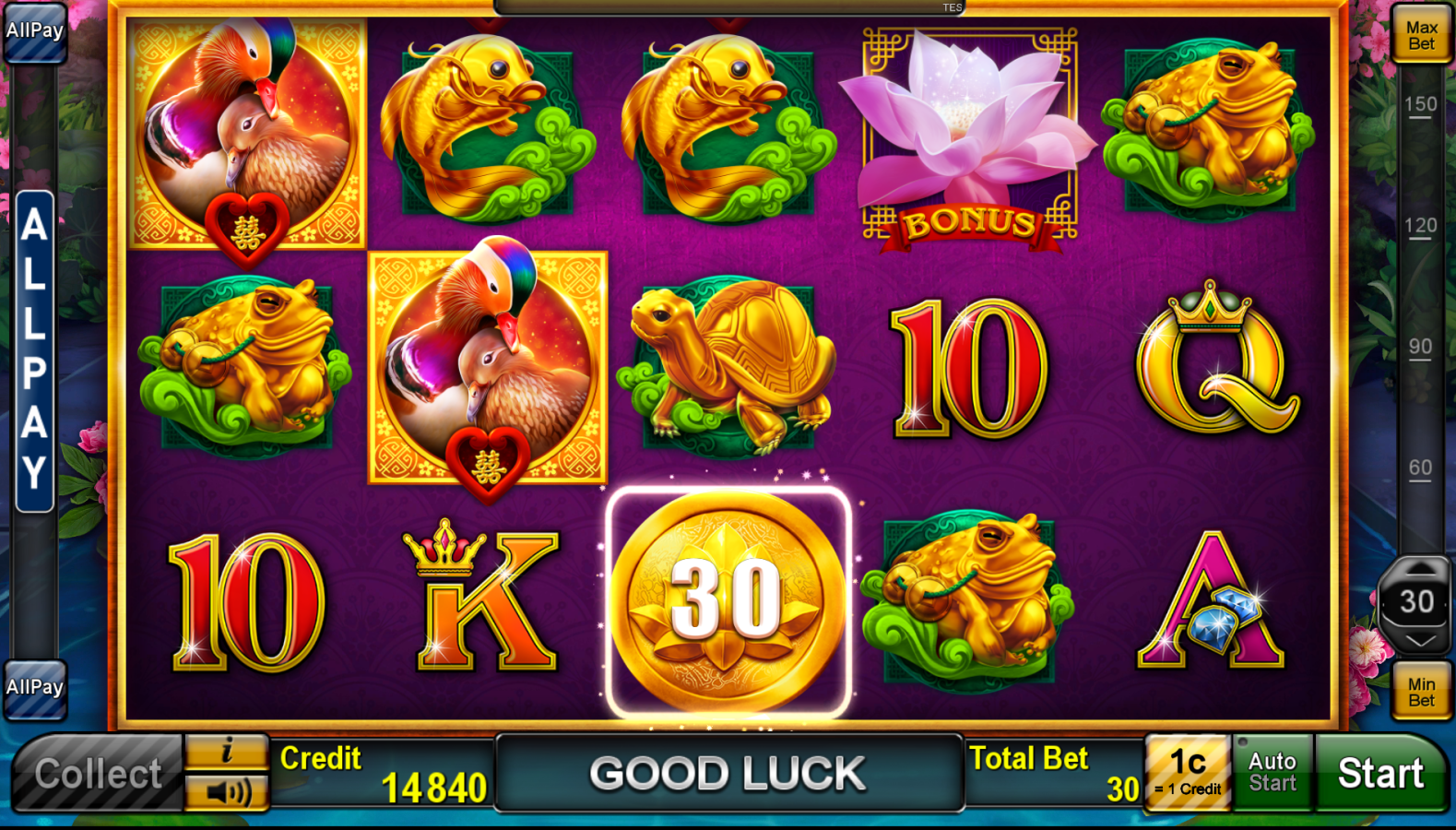 LuckyMandarinDuck_nowin