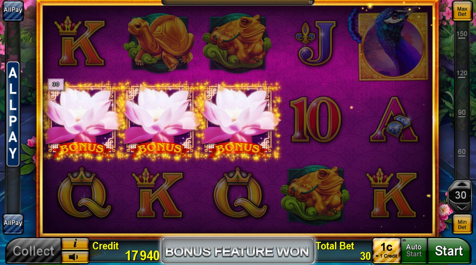 NoblePeacock_feature