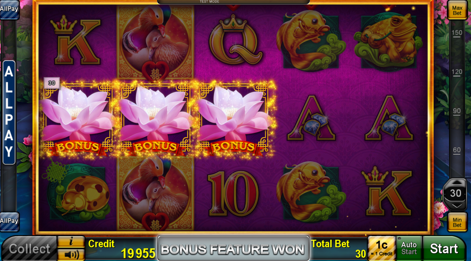 LuckyMandarinDuck_feature